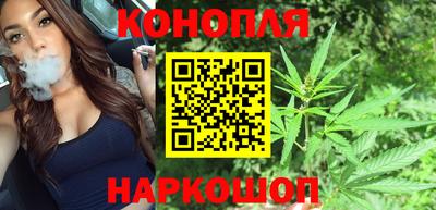 гашик Лесосибирск
