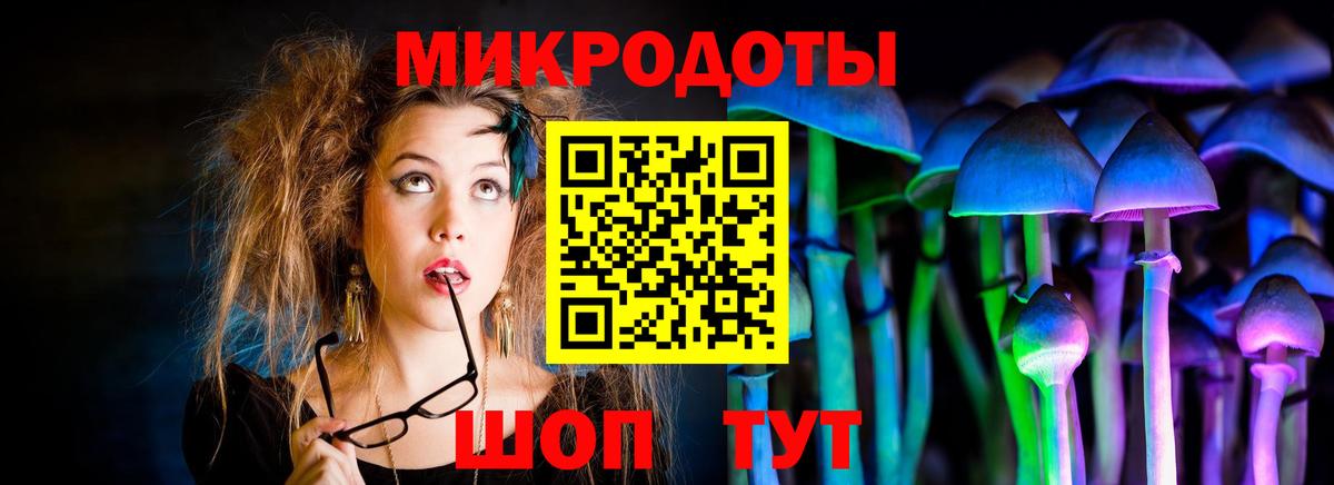 Галлюциногенные грибы мухоморы Вязники