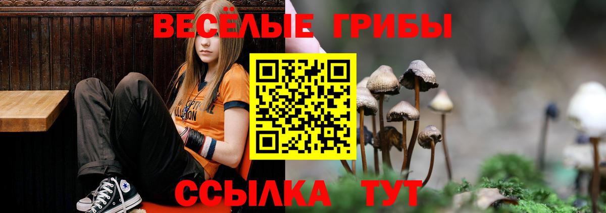 Галлюциногенные грибы мухоморы  Псилоцибиновые грибы Psilocybine cubensis  Вязники  цена   Вход с VPN 